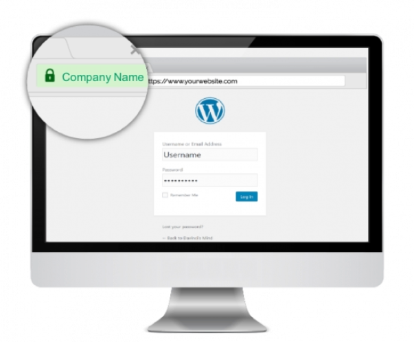 SSL certificate icon displayed on a website