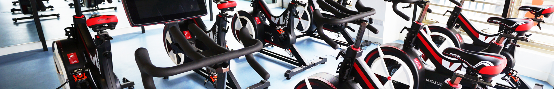 TMDHC banner in Visible One