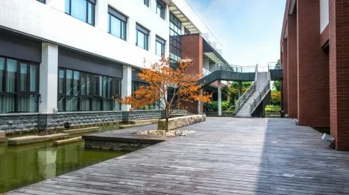 modern office courtyard with a wooden deck and reflecting pool